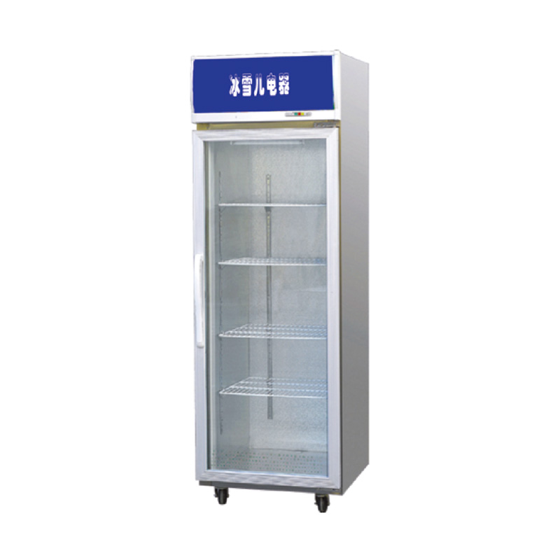 Single door display cabinet (light box)